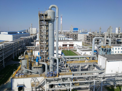 1,4-丁二醇关键催化剂项目